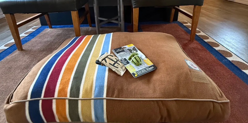 pet bed with treats